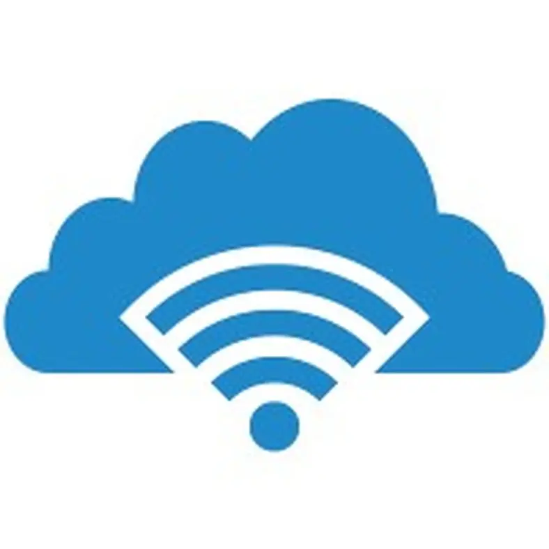Workday Technical Consultant